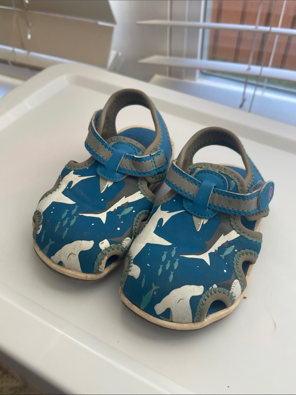 Stride Rite Blue Shark & Fish Water Shoes